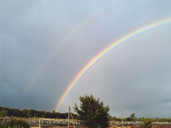 Rainbow over trees against cloudy sky