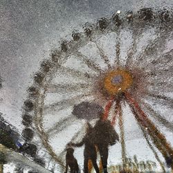 Reflection of trees in water