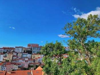 Low angle view of tree and buildings against blue sky