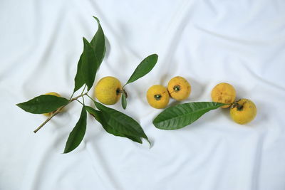High angle view of fruits on white surface