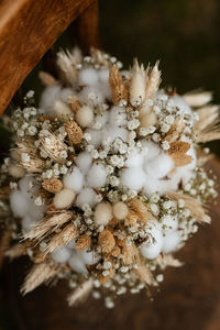 Close-up of white flowering plant