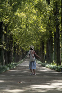 Rear view of woman walking on footpath amidst trees