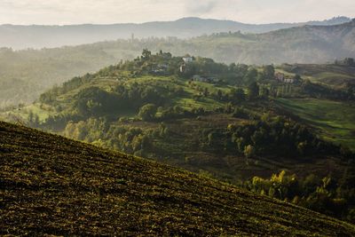 Scenic view of agricultural landscape