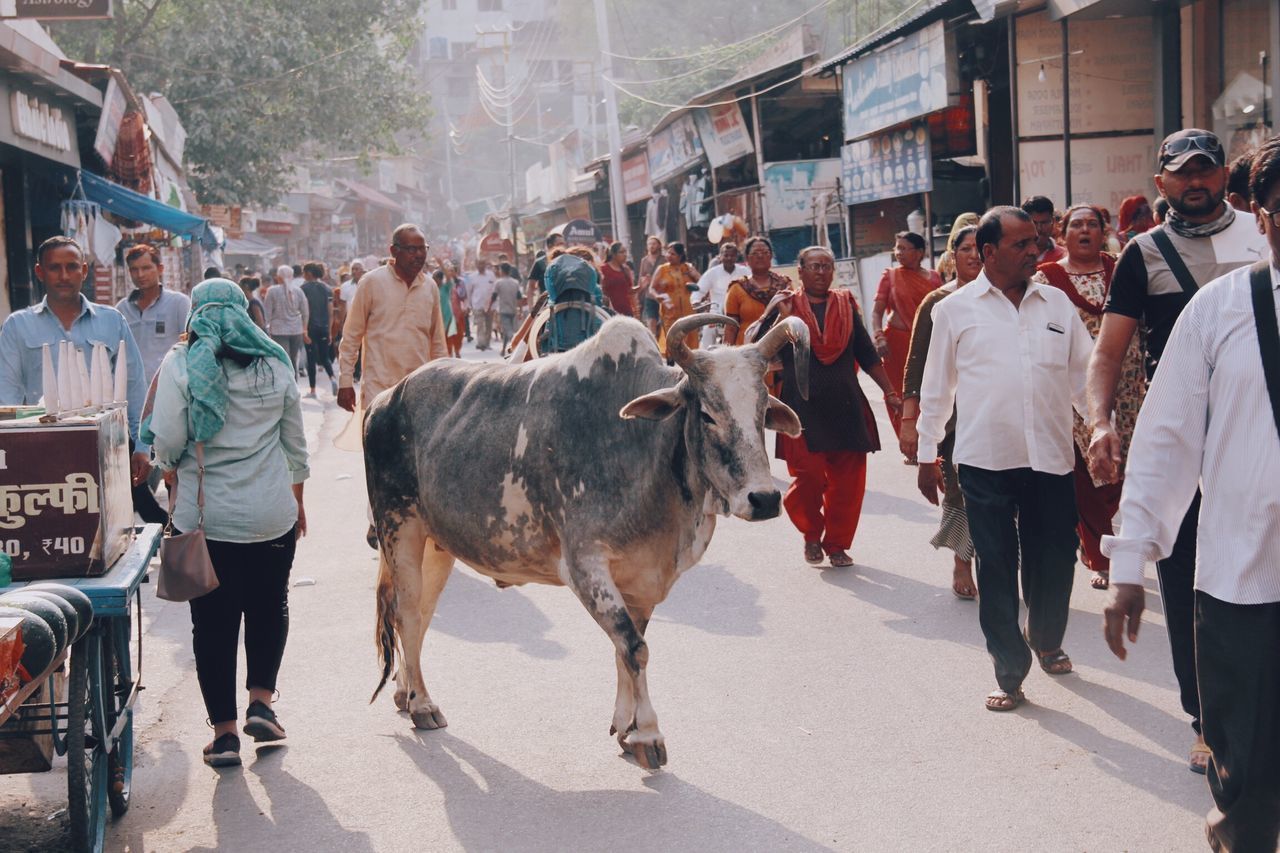 GROUP OF PEOPLE WALKING IN CITY