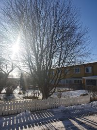 Bare trees by buildings against sky during winter