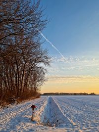 Bare tree on snow covered field against sky