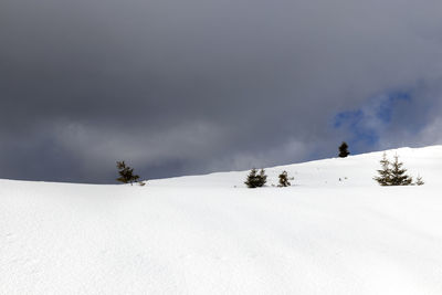 People on snow covered land against sky