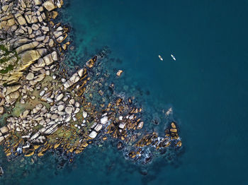 Aerial view of sup surfers ,primorsky region, russia