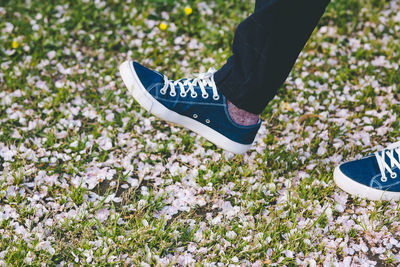 Low section of person wearing canvas shoes