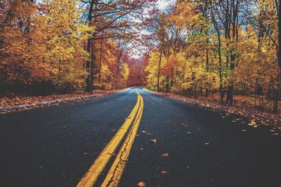 Road passing through forest