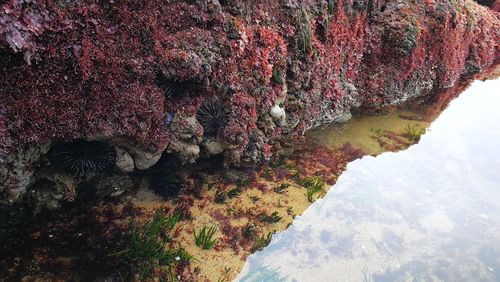 Rock formations in water against sky