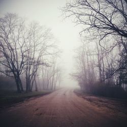 Road passing through bare trees