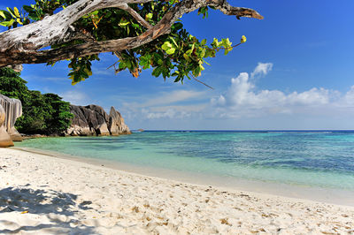 Scenic view of sea against blue sky