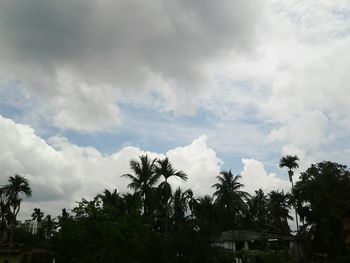 Low angle view of trees against sky