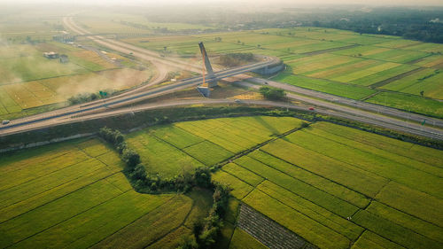 High angle view of agricultural field