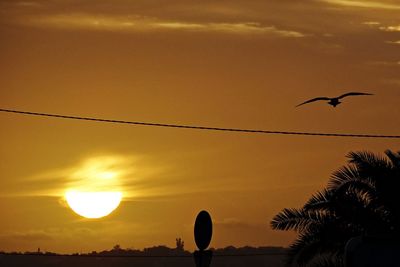 Silhouette bird flying against sky during sunset