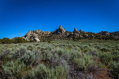 Scenic view of landscape against clear blue sky