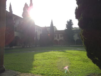 View of lawn and building in park