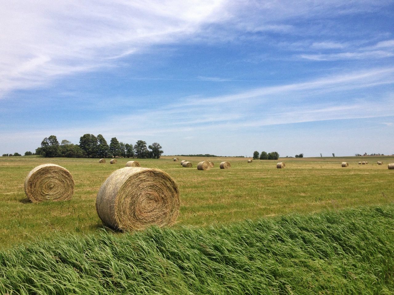 field, agriculture, rural scene, landscape, farm, bale, hay, grass, harvesting, sky, crop, tranquility, tranquil scene, nature, rolled up, cultivated land, growth, scenics, cloud - sky, beauty in nature