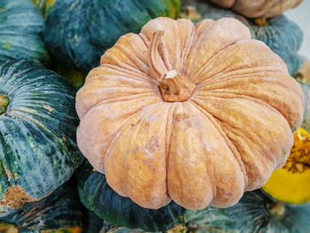 Close-up of pumpkin