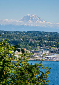 A view of the marina in des moines, washington with mount rainier in the distance.