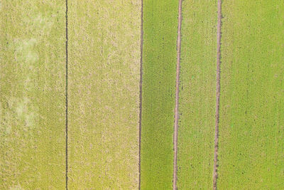 Full frame shot of agricultural field