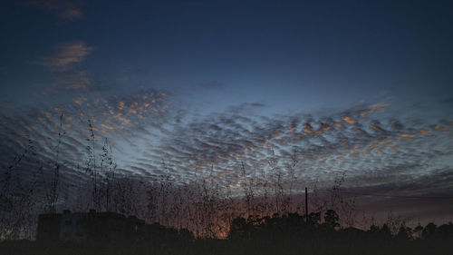 Low angle view of silhouette trees against sky at sunset