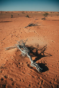 Driftwood on sand in desert against sky