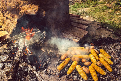 Corn cobs and potatoes baked on fire