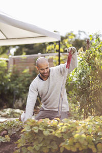 Mature man gardening at yard