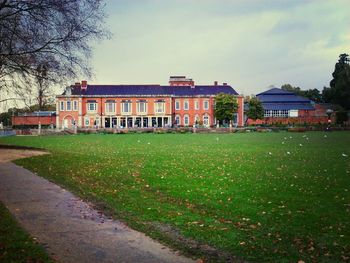 Trees in lawn