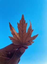 Close-up of hand holding maple leaf against blue sky