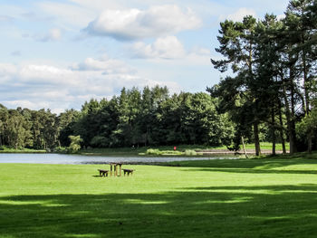 Scenic view of grassy field against cloudy sky