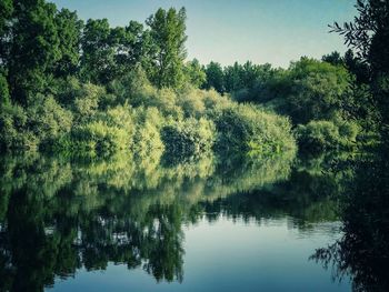 Scenic view of lake by trees against sky