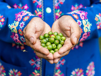Midsection of woman holding fruit