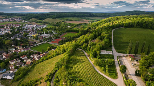 High angle view of road amidst trees in city