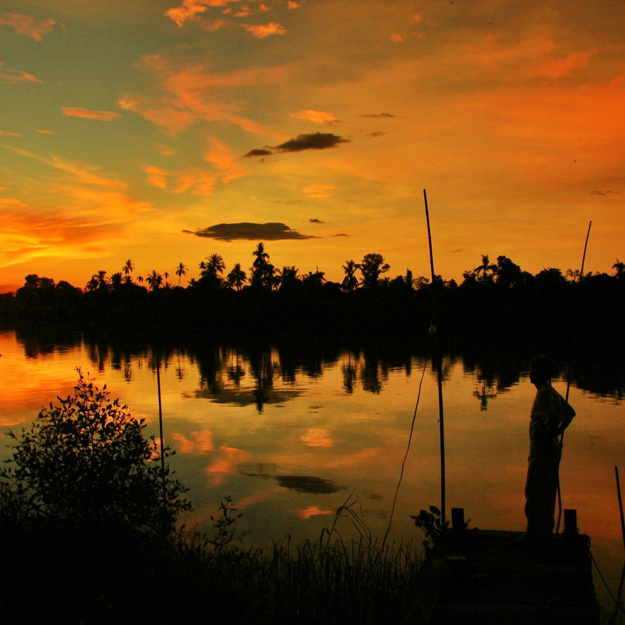 SILHOUETTE TREES BY LAKE AGAINST SKY DURING SUNSET