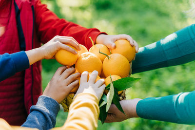 Midsection of woman holding fruits