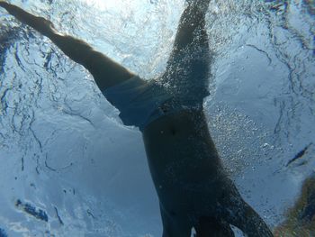 Close-up of fish swimming in sea