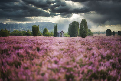 Scenic view of field against cloudy sky