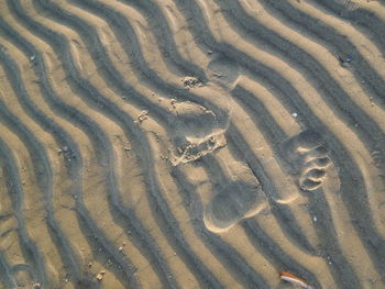 Full frame shot of sand