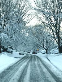 Snow covered road amidst bare trees during winter