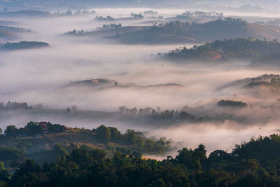 High angle view of trees against sky