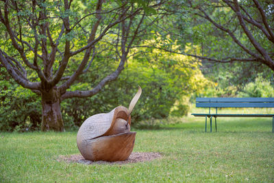 Bench in park