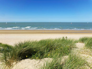 Scenic view of sea against clear blue sky