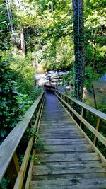 Footbridge against trees