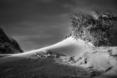 Norderney sanddune 