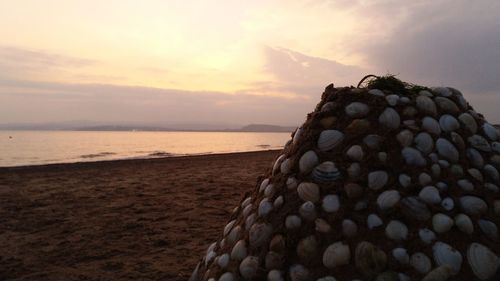 Close-up of sea shore against sky during sunset