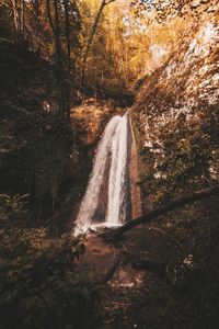 Waterfall in forest