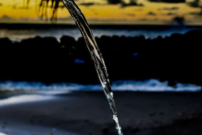 Close-up of frozen plant